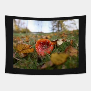 Toadstool Mushroom with dew drops - Christmas card Tapestry