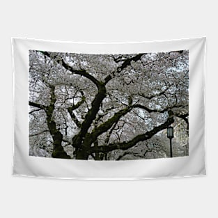 Spring Cherry Blossoms Tapestry