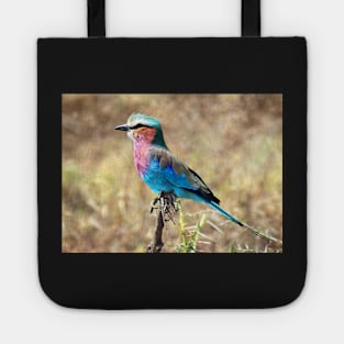 Lilac Breasted Roller, Serengeti, Tanzania Tote