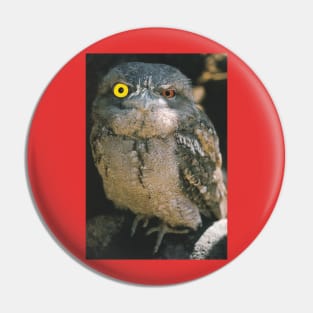 Heterochromia Owl Eyes Collage Pin