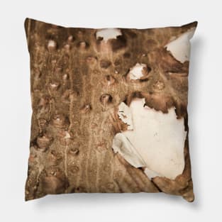 Burning paper revealing white background Pillow