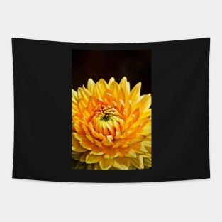 Bright Yellow Chrysanthemum Tapestry