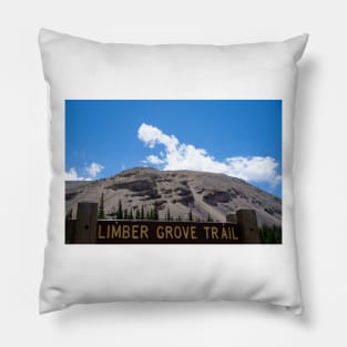 Colorado Mountain 2 Pillow