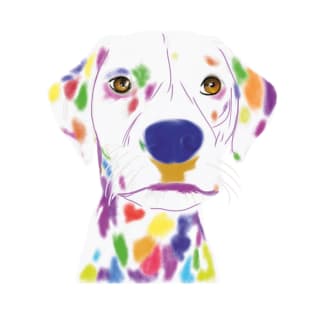 Multi Color Dalmatian T-Shirt