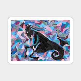 Capricorn Sign Magnet