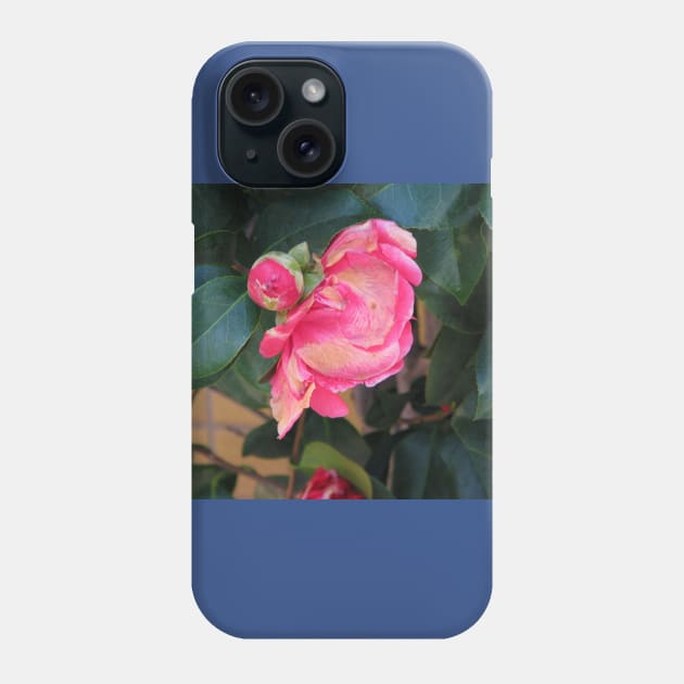 Camellia coming into bloom Phone Case by FriendlyComputerHelp