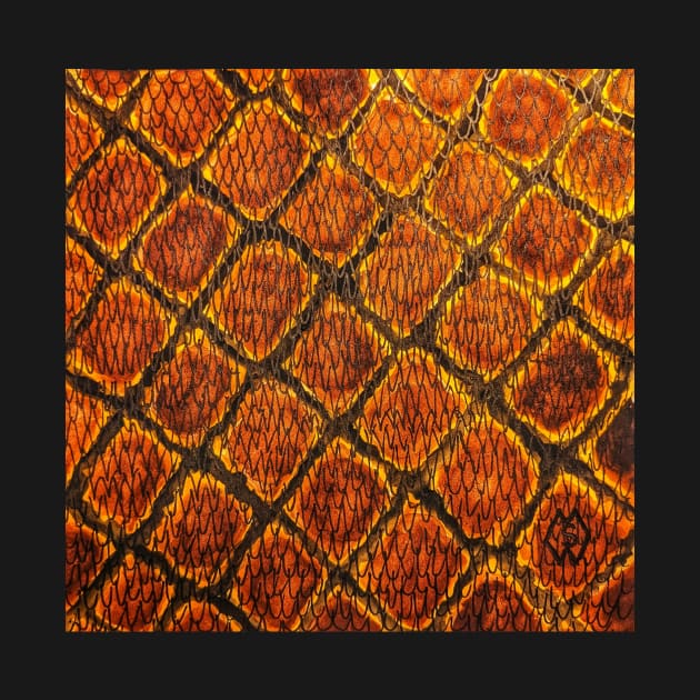 Rattlesnake skin by Matt Starr Fine Art