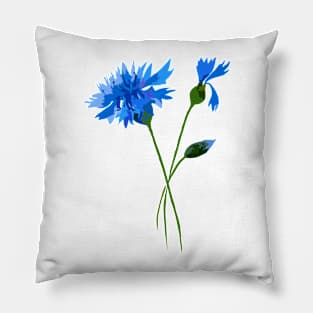 Wildflowers garden Pillow