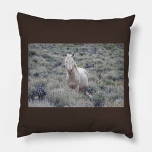 Wild Horse, stallion, wildlife, nature, gifts Pillow