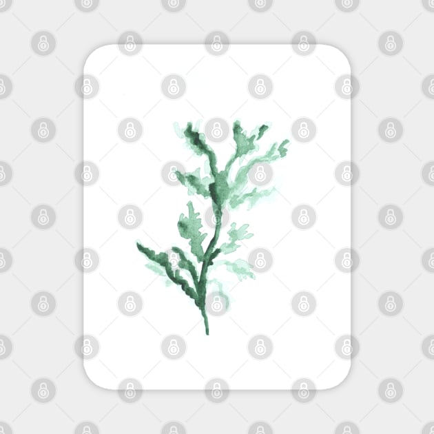 Watercolor green branch, plant, summer and nature, art decoration, sketch. Illustration hand drawn modern Magnet by grafinya