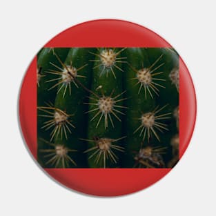 Red cactus Pin