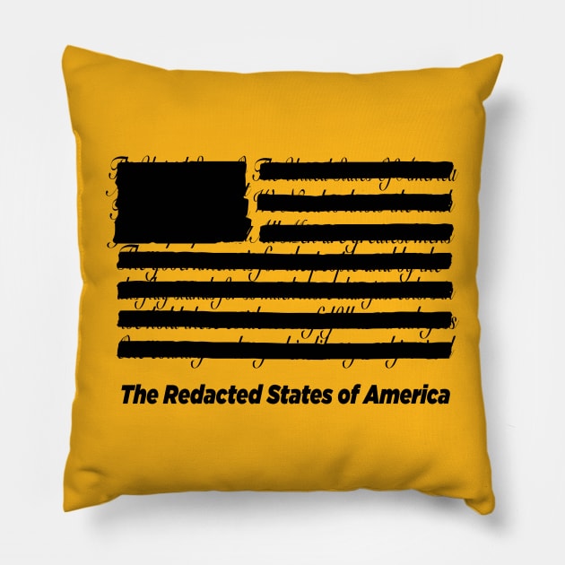 Redacted States of America Pillow by Alema Art