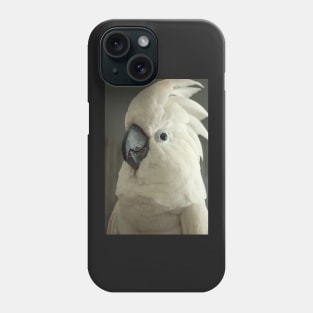 Umbrella cockatoo parrot bird portrait Phone Case