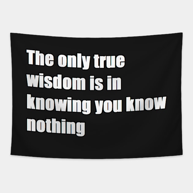 The only true wisdom is in knowing you know nothing Tapestry by felipequeiroz