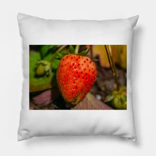 Strawberry Pillow