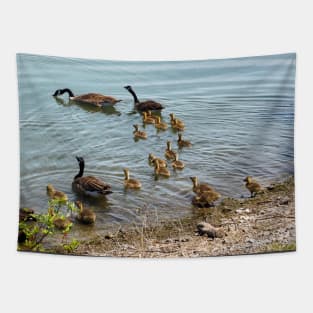 Canada Goose Family Heading To The Water Tapestry