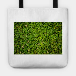 Cloverfield Tote
