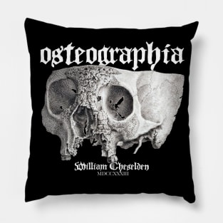 Osteographia Pillow