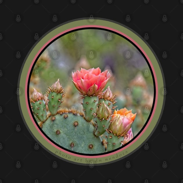 Prickly Pear Bloom by dm mendoza