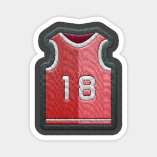 Basketball Jersey Magnet