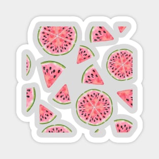 Watermelon Tropical Summer Magnet