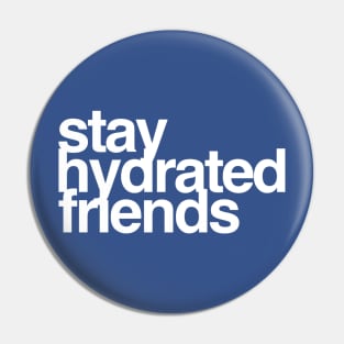 Stay Hydrated Friends Pin