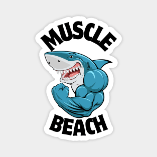 Muscle Beach Shark Magnet