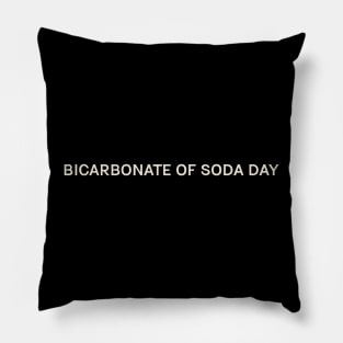 Bicarbonate of Soda Day On This Day Perfect Day Pillow