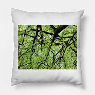 Green Tree Branches Pillow