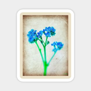 Forget Me Not Flower Magnet