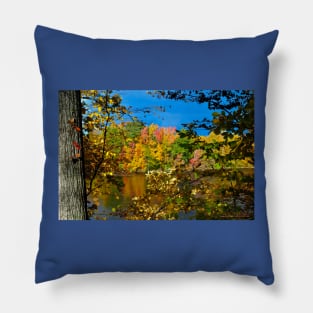 Murphysboro Lake (6) Pillow