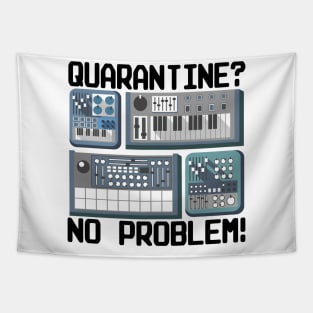 Analog Modular Synthesizer Synth Corona Quarantine Tapestry