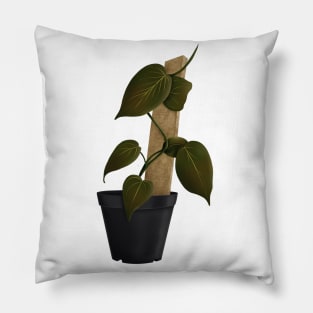 Philodendron Mican Pillow