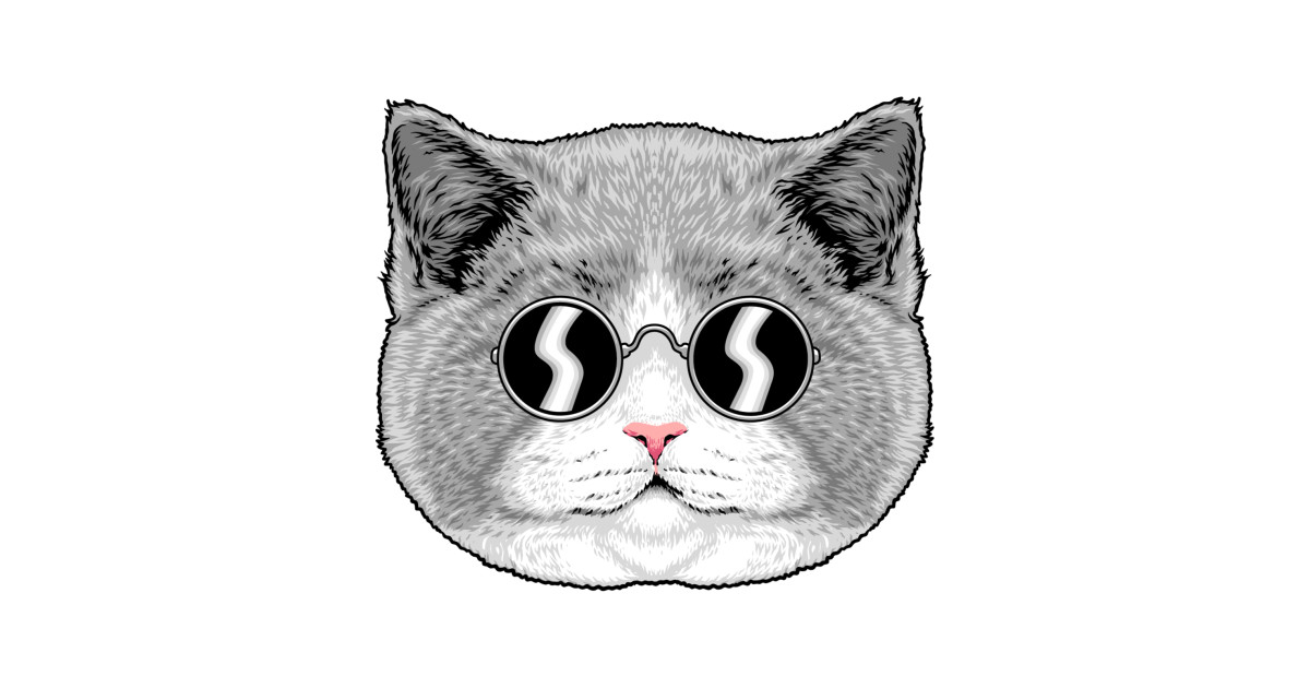 Cat in sunglasses Sunglasses Cat TShirt TeePublic