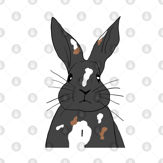 rabbit black gray white brown by Noamdelf06