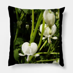 white bleeding heart macro Pillow