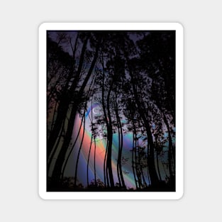 Tardecer Magnet