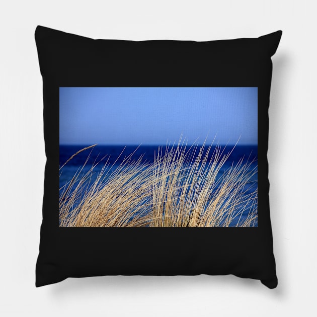 SEAGRASS ON THE SEA SHORE DESIGN Pillow by SERENDIPITEE