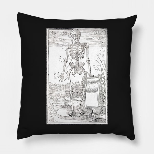 Anatomical skeleton illustration from De dissectione partium corporis humani libri tres published circa 1545 (Cleaned to remove bleed thru text) Pillow by artfromthepast