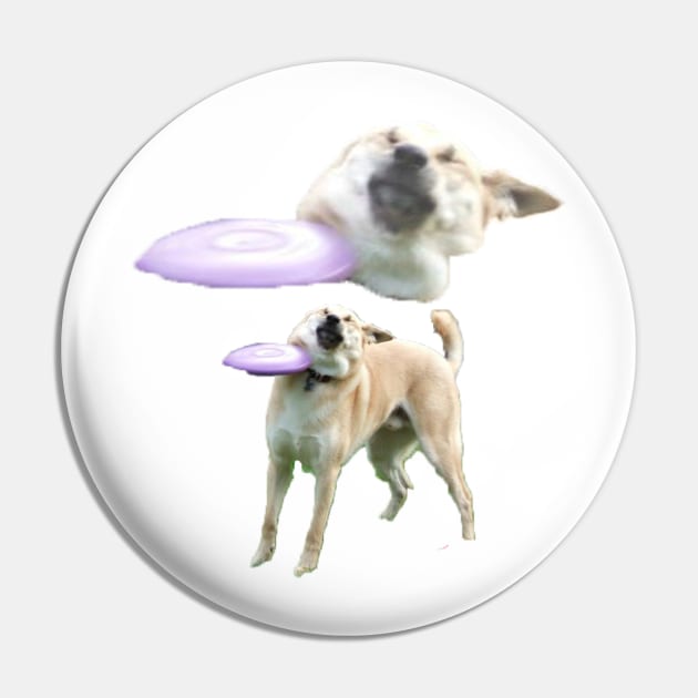 Frisbee Dog 1 Pin by James Mclean