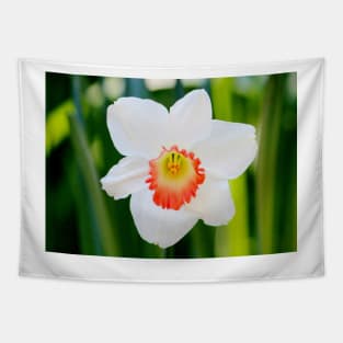 White Daffodil Tapestry