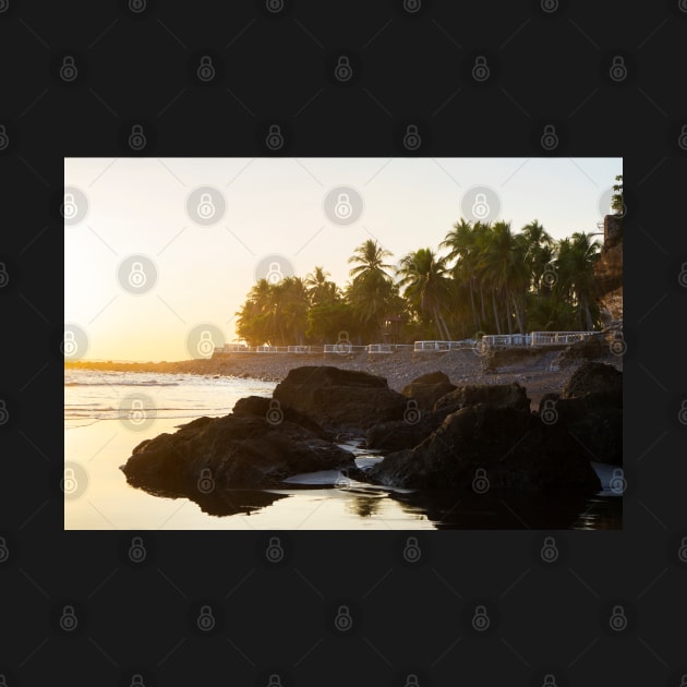 rocky beach and cliff with palm trees by renee1ty