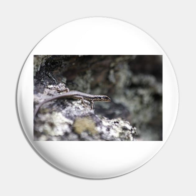 Grand Skink Pin by TerraDumont