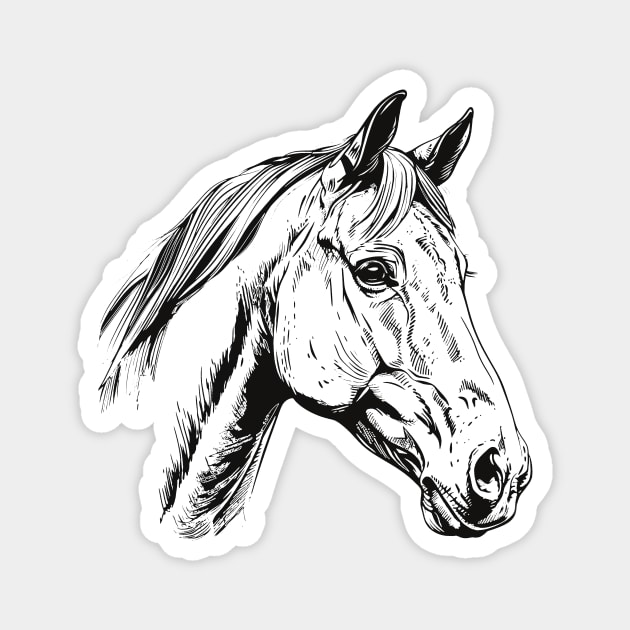 Horse head (b) Magnet by Shyflyer