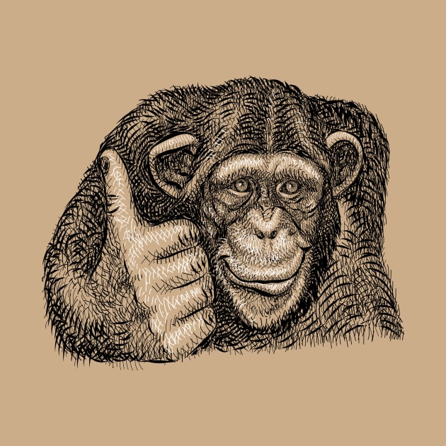 Chimpanzee Thumb Up by tsign703