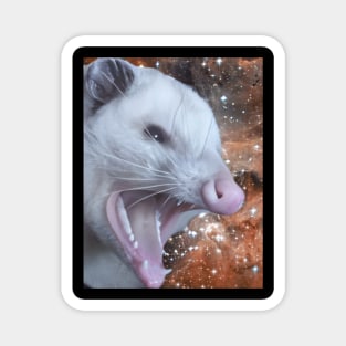 Angry possum Magnet