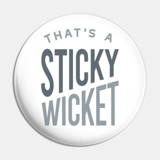 Funny Cricket That's a Sticky Wicket Pin