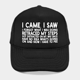 i came, i saw i forgot what i was doing retraced my steps got distracted on my way back have no idea what's going on and now i have to pee Hat