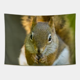 Red Squirrel Tapestry