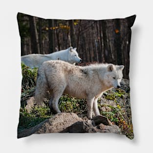 Arctic Wolves Pillow